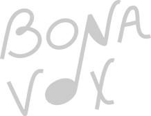BonaVox logo white